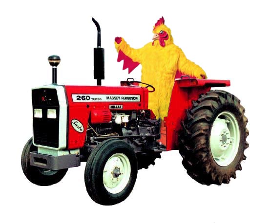 Chicks And Tractors