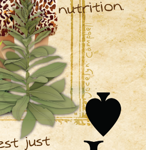 permaculture playing card
