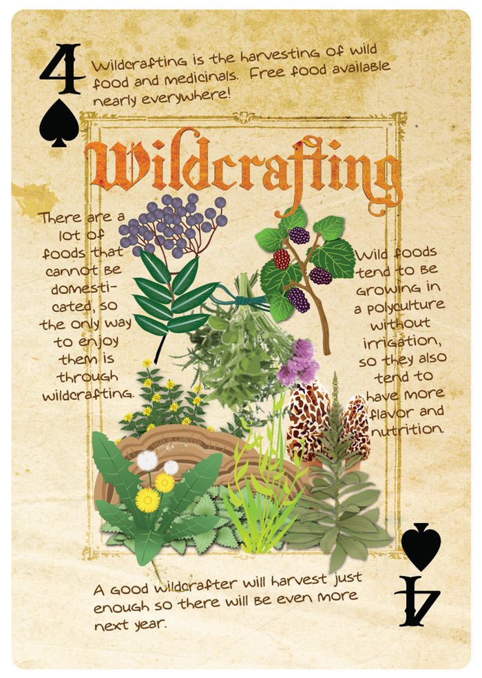 permaculture playing cards poster