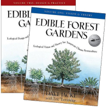 edible forest gardens