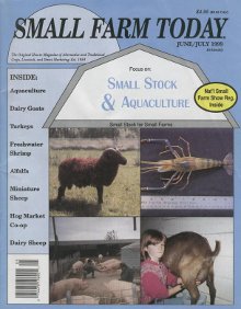 small farm today