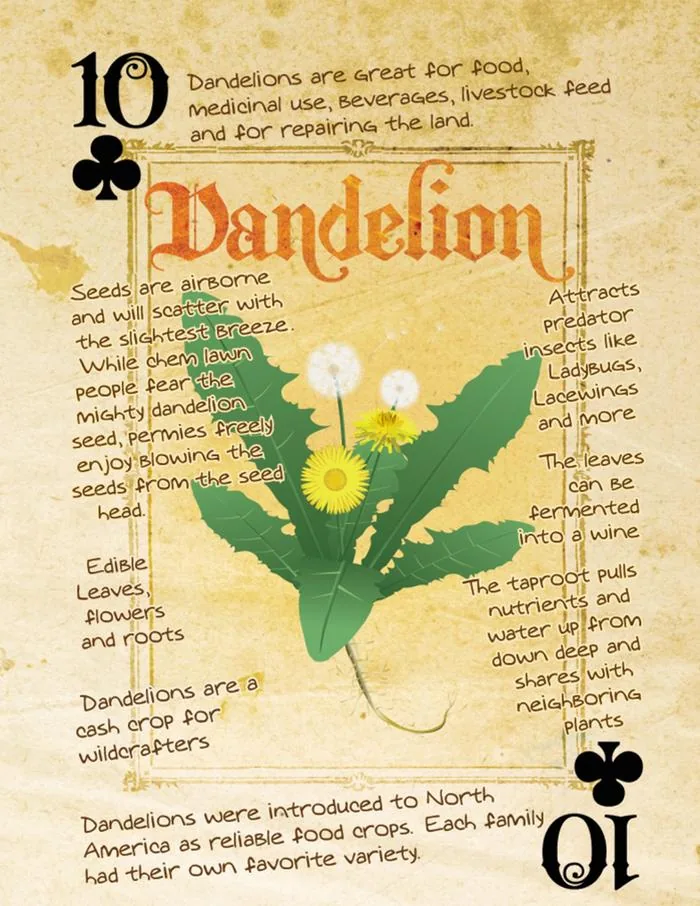 Ten of Clubs: Dandelion card
