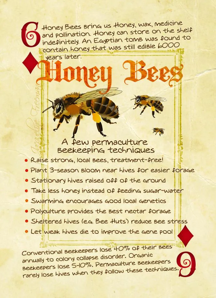 Six of Diamonds: Honey Bees card