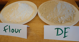 diatomaceous earth and flour