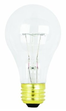 incandescent light bulb