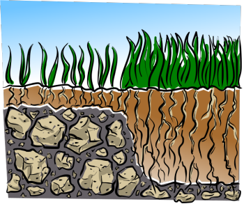 lawn care soil depth