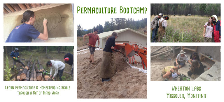 permaculture bootcamp at wheaton labs